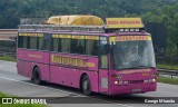 Pink Caravan Sweden NOP876 na cidade de Santa Isabel, São Paulo, Brasil, por George Miranda. Número da foto: #12374623.