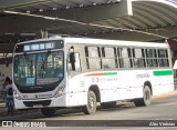 Borborema Imperial Transportes 303 na cidade de Jaboatão dos Guararapes, Pernambuco, Brasil, por Alex Vinícius. Número da foto: #12372605.