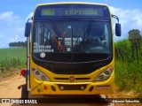 Ônibus Particulares 1B38 na cidade de Paudalho, Pernambuco, Brasil, por Edjunior Sebastião. Número da foto: #12375640.