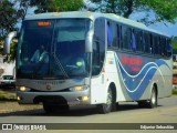 Carpinatur 0814 na cidade de Nazaré da Mata, Pernambuco, Brasil, por Edjunior Sebastião. Número da foto: #12375393.