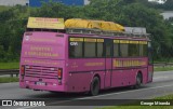 Pink Caravan Sweden NOP876 na cidade de Santa Isabel, São Paulo, Brasil, por George Miranda. Número da foto: #12374624.