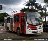 Pêssego Transportes 4 7065 na cidade de São Paulo, São Paulo, Brasil, por Felipe Goncalves do Vale. Número da foto: #12399018.
