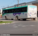 Viação Nossa Senhora Conquistadora 541 na cidade de Pelotas, Rio Grande do Sul, Brasil, por Ribeiro Reis. Número da foto: #12397318.