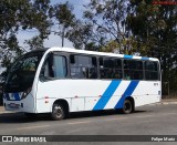 Uni Transportes 6016 na cidade de Guarulhos, São Paulo, Brasil, por Felipe Mariz. Número da foto: #12400052.