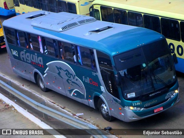 Águia Turismo 11462 na cidade de Paudalho, Pernambuco, Brasil, por Edjunior Sebastião. Número da foto: #12403172.