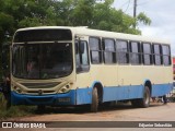 Ônibus Particulares 9450 na cidade de Paudalho, Pernambuco, Brasil, por Edjunior Sebastião. Número da foto: #12402751.