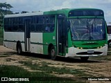 Ônibus Particulares 3A61 na cidade de Paudalho, Pernambuco, Brasil, por Edjunior Sebastião. Número da foto: #12402769.