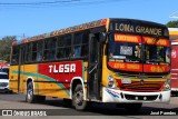 TLGSA - Transporte Loma Grande S.A. - Línea 132 > Transporte LomaGrandense S.A. 040 na cidade de San Lorenzo, Central, Paraguai, por José Paredes. Número da foto: #12404198.