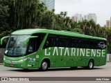 Auto Viação Catarinense 3451 na cidade de Curitiba, Paraná, Brasil, por João Victor. Número da foto: #12406066.