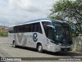 Viação Cruzeiro 6071 na cidade de Caruaru, Pernambuco, Brasil, por Lenilson da Silva Pessoa. Número da foto: #12405606.