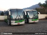 Pássaro Verde 29020 na cidade de Ouro Preto, Minas Gerais, Brasil, por Helder José Santos Luz. Número da foto: #12405907.