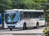Borborema Imperial Transportes 384 na cidade de Jaboatão dos Guararapes, Pernambuco, Brasil, por Daniel Cleiton  Bezerra. Número da foto: #12405789.