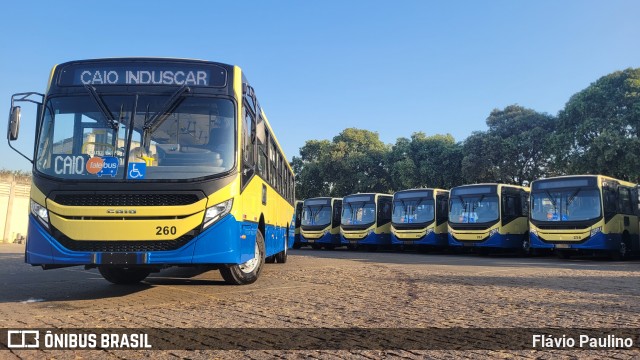 Trancid - Transporte Cidade de Divinópolis 260 na cidade de Divinópolis, Minas Gerais, Brasil, por Flávio Paulino. Número da foto: #12406532.
