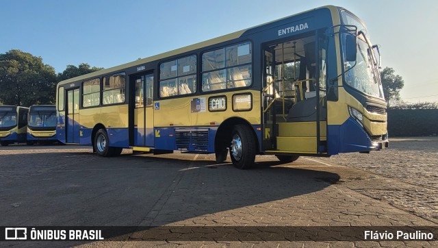 Trancid - Transporte Cidade de Divinópolis 260 na cidade de Divinópolis, Minas Gerais, Brasil, por Flávio Paulino. Número da foto: #12406536.
