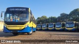 Trancid - Transporte Cidade de Divinópolis 260 na cidade de Divinópolis, Minas Gerais, Brasil, por Flávio Paulino. Número da foto: #12406532.