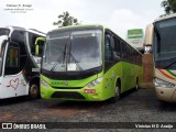 Lev Transporte Rodoviário RJ 630.038 na cidade de Cachoeira Paulista, São Paulo, Brasil, por Vinicius N D Araújo. Número da foto: #:id.