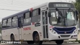 Transpal 210 na cidade de Palmeira das Missões, Rio Grande do Sul, Brasil, por Cleiton Rasta. Número da foto: #12406725.