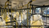 Trancid - Transporte Cidade de Divinópolis 260 na cidade de Divinópolis, Minas Gerais, Brasil, por Flávio Paulino. Número da foto: #12406539.