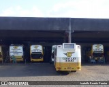 Empresa Gontijo de Transportes 3300 na cidade de Belo Horizonte, Minas Gerais, Brasil, por Isabella Beatriz Pereira. Número da foto: #12408572.