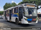 TransPremium 81-262 na cidade de Paço do Lumiar, Maranhão, Brasil, por Madyson Almeida. Número da foto: #12407168.