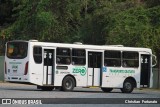 Viação Bassamar 161 na cidade de Leopoldina, Minas Gerais, Brasil, por Christian  Fortunato. Número da foto: #:id.
