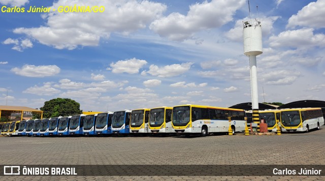 COOTEGO - Cooperativa de Transportes do Estado de Goiás 40180 na cidade de Goiânia, Goiás, Brasil, por Carlos Júnior. Número da foto: #12411739.