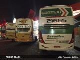 Empresa Gontijo de Transportes 21665 na cidade de Estiva, Minas Gerais, Brasil, por Helder Fernandes da Silva. Número da foto: #12412072.