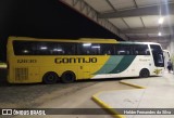 Empresa Gontijo de Transportes 12830 na cidade de Estiva, Minas Gerais, Brasil, por Helder Fernandes da Silva. Número da foto: #12412112.