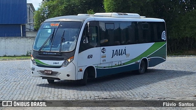 Viação Jauá 650 na cidade de Cruz das Almas, Bahia, Brasil, por Flávio  Santos. Número da foto: #12413086.