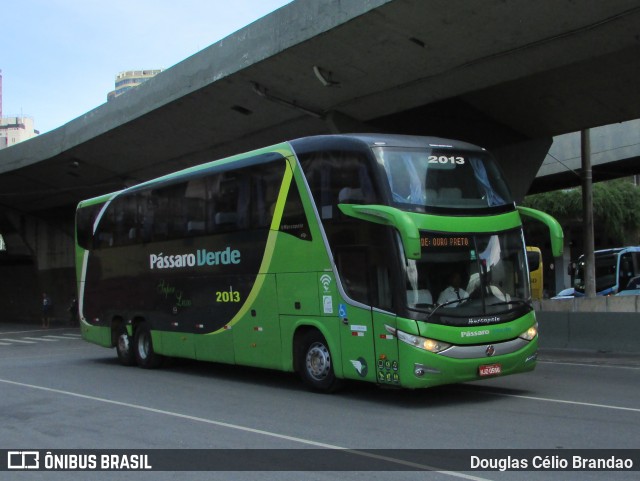 Pássaro Verde 2013 na cidade de Belo Horizonte, Minas Gerais, Brasil, por Douglas Célio Brandao. Número da foto: #12414752.