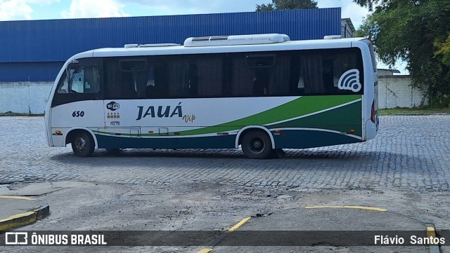 Viação Jauá 650 na cidade de Cruz das Almas, Bahia, Brasil, por Flávio  Santos. Número da foto: #12413089.