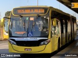 Viação Pioneira 225568 na cidade de Santa Maria, Distrito Federal, Brasil, por Gabriel Rocha. Número da foto: #12413619.