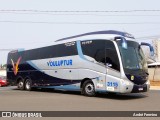 Vouluptur 3115 na cidade de Holambra, São Paulo, Brasil, por André Fermino . Número da foto: #:id.