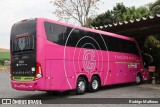 Viação Garcia 8505 na cidade de Ponta Grossa, Paraná, Brasil, por Rodrigo Matheus. Número da foto: #12413503.