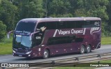 Viagens Chapecó 2020 na cidade de Santa Isabel, São Paulo, Brasil, por George Miranda. Número da foto: #12413756.