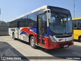 Transportadora Tinguá RJ 156.053 na cidade de Duque de Caxias, Rio de Janeiro, Brasil, por Cleiton Linhares. Número da foto: #12413295.