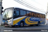 Agape 2710 na cidade de Guarulhos, São Paulo, Brasil, por Felipe Mariz. Número da foto: #12417334.