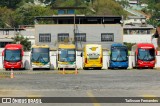 Empresa Gontijo de Transportes 19345 na cidade de Juiz de Fora, Minas Gerais, Brasil, por Tailisson Fernandes. Número da foto: #12417264.