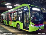 Himalaia Transportes > Ambiental Transportes Urbanos 4 1137 na cidade de São Paulo, São Paulo, Brasil, por Felipe Arguelho. Número da foto: #12415220.