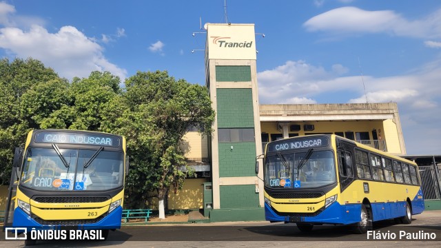 Trancid - Transporte Cidade de Divinópolis 261 na cidade de Divinópolis, Minas Gerais, Brasil, por Flávio Paulino. Número da foto: #12418759.