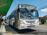 Empresa de Transportes Nossa Senhora da Conceição 4905 na cidade de Natal, Rio Grande do Norte, Brasil, por Andrés Cao Pires. Número da foto: #12420641.
