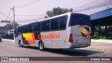 Transportes Capellini 13410 na cidade de Campo Limpo Paulista, São Paulo, Brasil, por Roberto Teixeira. Número da foto: #12419530.