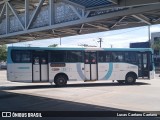 Rota Sol > Vega Transporte Urbano 35731 na cidade de Fortaleza, Ceará, Brasil, por Lucas Caetano. Número da foto: #12418670.