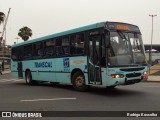 Transcal Sul Transportes Coletivos 24116 na cidade de Porto Alegre, Rio Grande do Sul, Brasil, por Rodrigo Koscolka. Número da foto: #12418751.