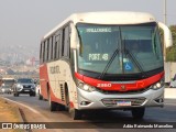 Rouxinol 2360 na cidade de Belo Horizonte, Minas Gerais, Brasil, por Adão Raimundo Marcelino. Número da foto: #:id.