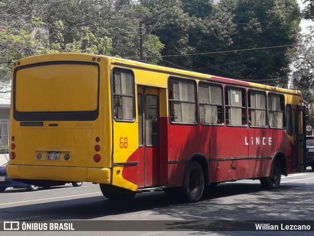 Lince 68 na cidade de Asunción, Paraguai, por Willian Lezcano. Número da foto: #12421142.