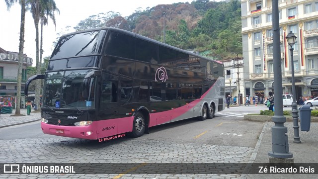 Rosa Chic Turismo 9504 na cidade de Petrópolis, Rio de Janeiro, Brasil, por Zé Ricardo Reis. Número da foto: #12421718.