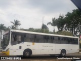 Pontual Sul Transporte e Turismo 19 001 na cidade de Botucatu, São Paulo, Brasil, por Pedro Henrique de Oliveira. Número da foto: #12421274.