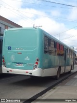Viação Nossa Senhora Conquistadora 589 na cidade de Pelotas, Rio Grande do Sul, Brasil, por Miguel Filho. Número da foto: #12420985.