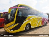 Pullman Pulpica  na cidade de Ovalle, Limarí, Coquimbo, Chile, por Cristian Contreras. Número da foto: #12421402.